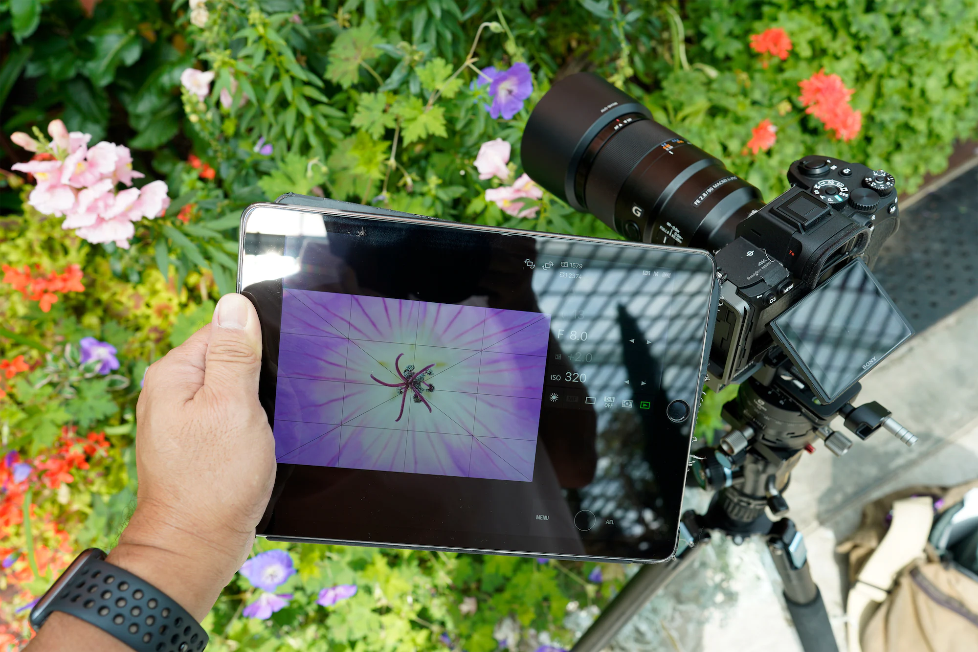 Use Sony&rsquo;s Imaging Edge mobile application on an external smart device to check your composition and focus more easily