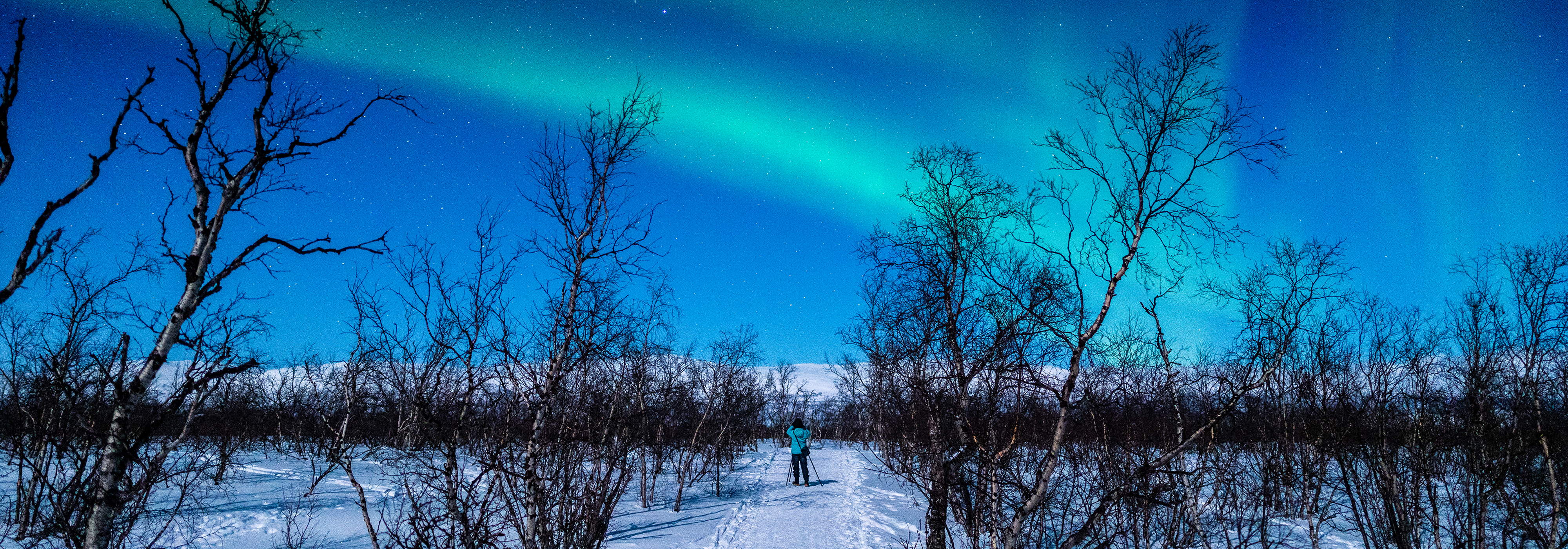 Capturing the Intricacies of Beautiful Landscapes with G Master Lenses