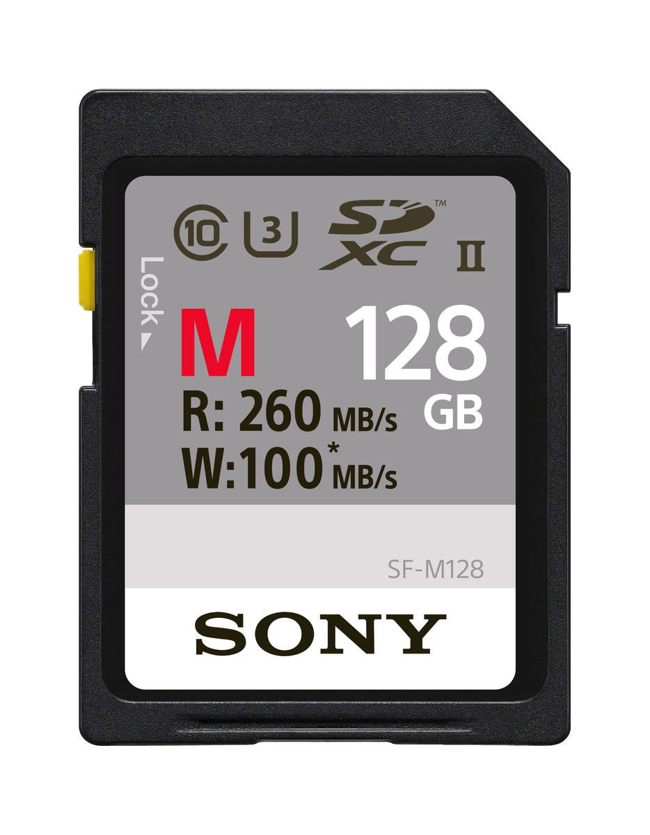 128GB SD Card