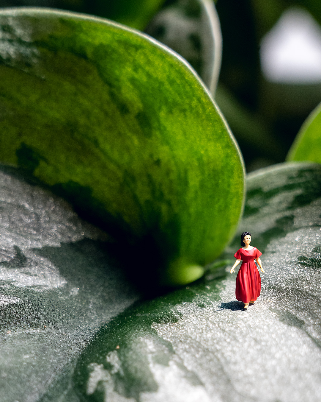 Close-up of a small female figurine on a Silver Pothos leaf