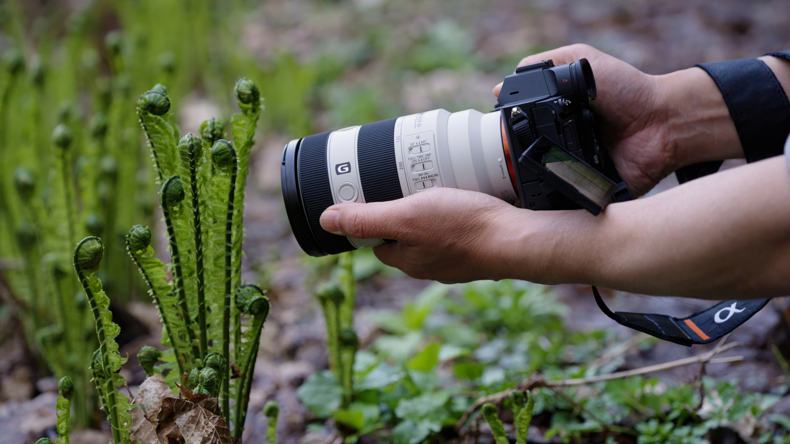 Macro shooting of outdoor plant with the Sony FE 70-200mm F4 Macro G OSS II telephoto zoom lens